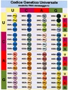 Codice genetico