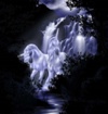 Unicorno  creatura magica